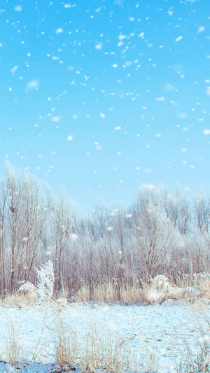 内蒙古冬季山村雪景视频素材唯美风景雪10秒视频