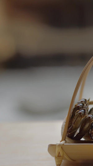 大闸蟹吐泡泡合集传统节日12秒视频
