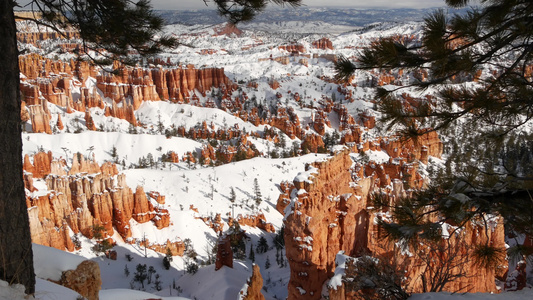 冬天的布莱斯峡谷美国犹他州的雪圆形剧场中的不祥之物视频