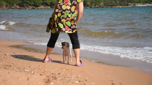 女人把狗抱在沙滩上视频