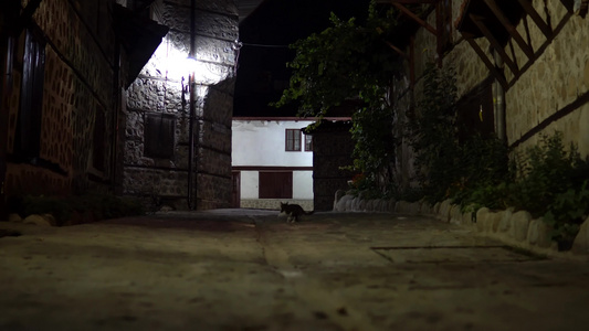 晚上老式黑暗小巷里的猫保加利亚班斯科的老房子和街道视频
