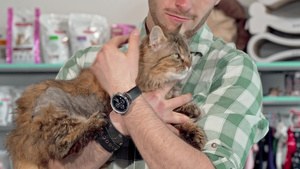 兽医诊所店主怀着可爱的小毛猫的怀抱9秒视频