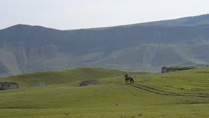 新疆牧场牧民生活马匹骑马18秒视频
