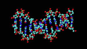 脱氧核糖核酸分子12秒视频