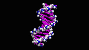 脱氧核糖核酸分子15秒视频