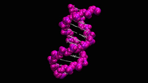 脱氧核糖核酸分子12秒视频