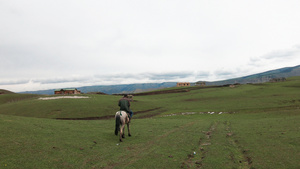 新疆天山牧场牧民骑马生活牲畜马匹16秒视频