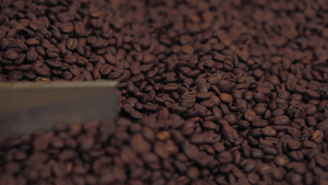 咖啡厂加工咖啡豆17秒视频
