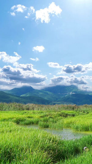 云南地区泸沽湖的草海蓝天白云15秒视频