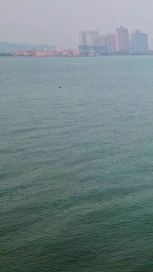 青岛海岸线航拍青岛海边20秒视频