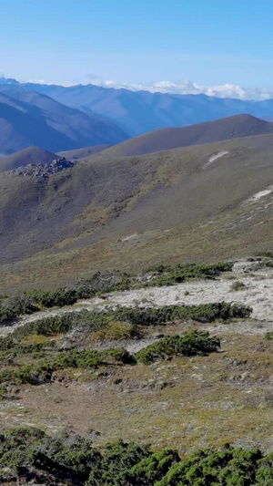 高海拔山区依靠马队驮运行李视频素材89秒视频