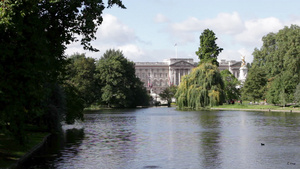 伦敦圣詹姆斯公园和白金汉宫的湖8秒视频
