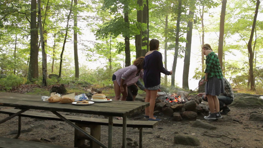 朋友们在森林里的篝火上烤棉花糖视频