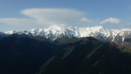 新疆天山风光旅游雪山松林航拍视频