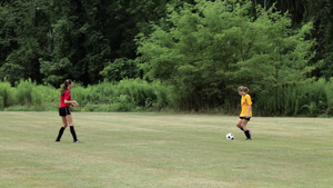 户外草地踢足球的女孩12秒视频