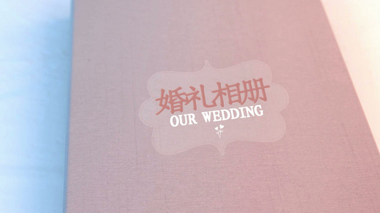 时尚剪纸风婚礼相册视频AE模板视频