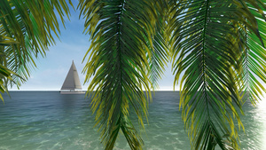 唯美椰子树船帆大海20秒视频