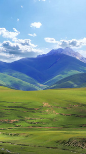 延绵辽阔的西藏草地自然风光草原延时视频