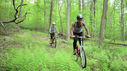 四个骑自行车的人穿过森林视频