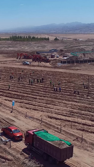 植树造林治理沙漠化子弟兵46秒视频