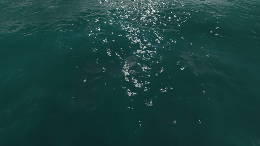 3D海洋水面表面视频