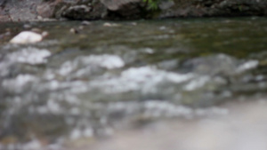 聚焦清洁的溪流混合水9秒视频