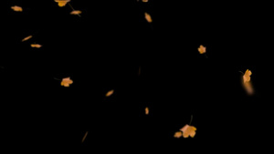 枫叶飘落动画31秒视频