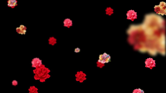 红花飘落动画视频