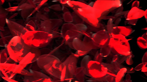 4K玫瑰花转场动画元素带透明度12秒视频