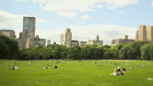 国纽约市中央公园坐在草地上休息的人们12秒视频