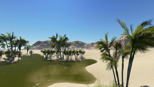 以3D软件制成的沙漠绿洲视频