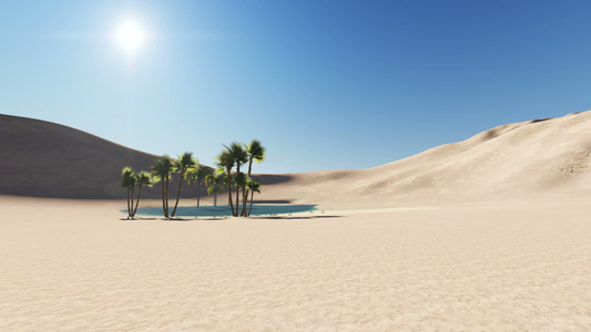 以3D软件制成的沙漠绿洲视频