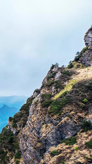 【旅游宣传片】湖北神农架延时合集5A景区54秒视频