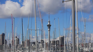 从天空塔缩小以显示新西兰奥克兰海港的船只9秒视频