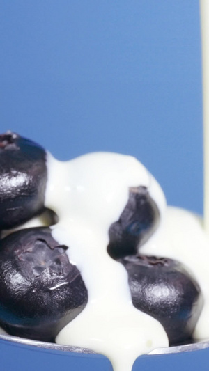 牛奶乳制品浇淋蓝莓水果免疫等功能15秒视频