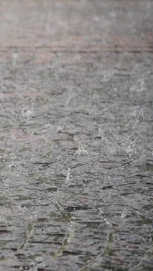 下雨19秒视频