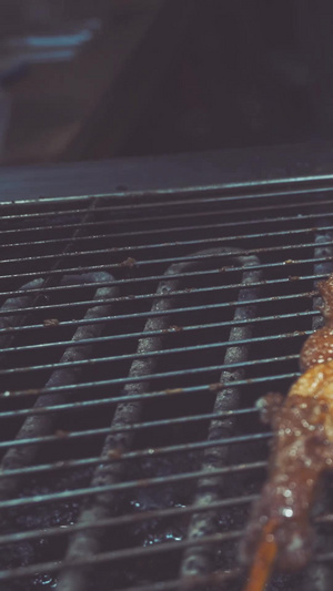 素材升格慢动作新疆地方美食烧烤羊肉串升格拍摄73秒视频