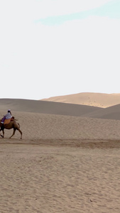 甘肃著名旅游景点鸣沙山沙漠骆驼视频甘青环线视频