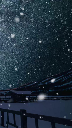 唯美雪花夜景背景视频20秒视频
