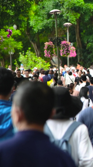 深圳仙湖植物园的游客公园的游客32秒视频