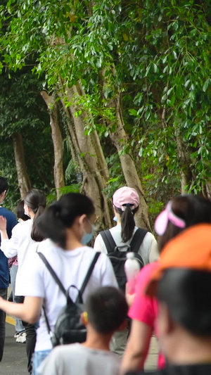 深圳仙湖植物园的游客人山人海32秒视频