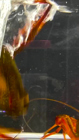 实拍活体小龙虾5美味小龙虾108秒视频