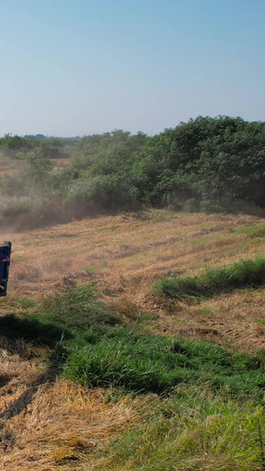 航拍收割机收割麦子传送到运粮车上机械化农业20秒视频