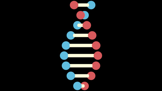 旋转 dna 螺旋盘视频