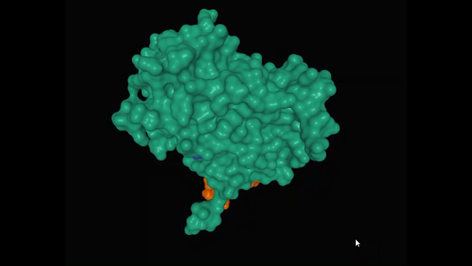 3d病毒晶体结构视频