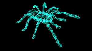 蜘蛛的框架模型3D15秒视频