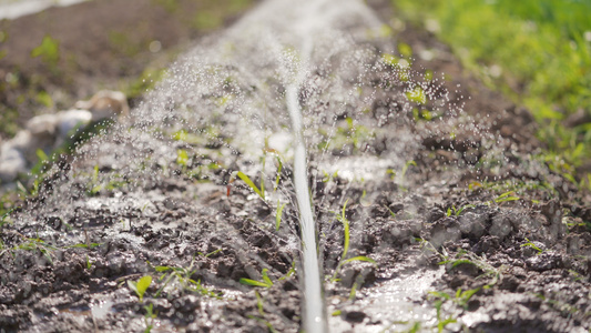 4k科学种植自动化灌溉视频