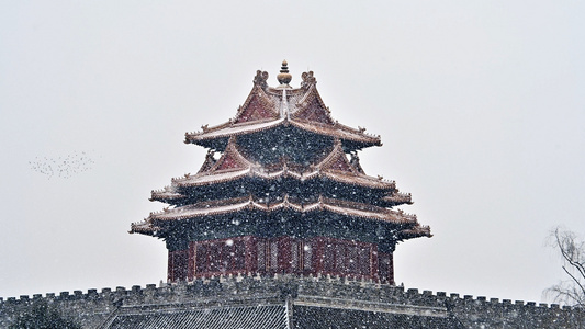 北京角楼城墙雪景视频