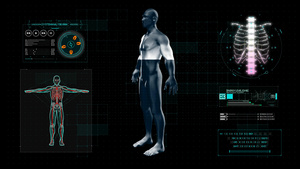 4K智慧医疗人体结构示意模板20秒视频