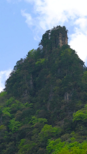 神农架5A风景区森林山峰延时合集28秒视频